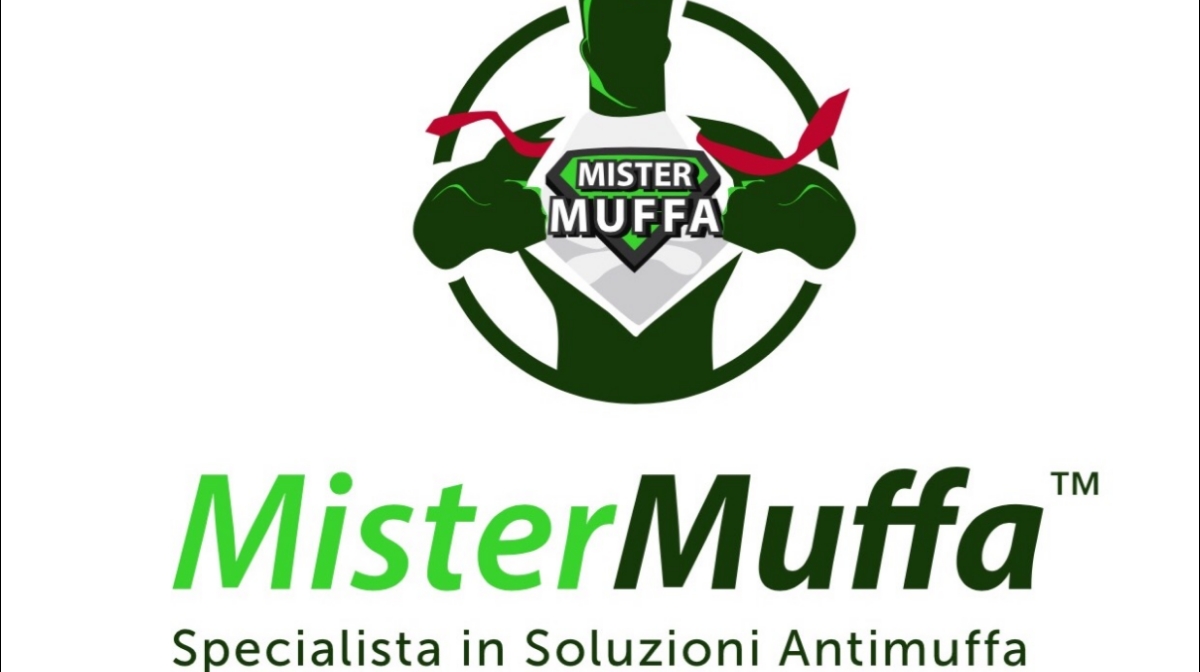 Mister Muffa-Specialista in Soluzioni antimuffa — Foto 12
