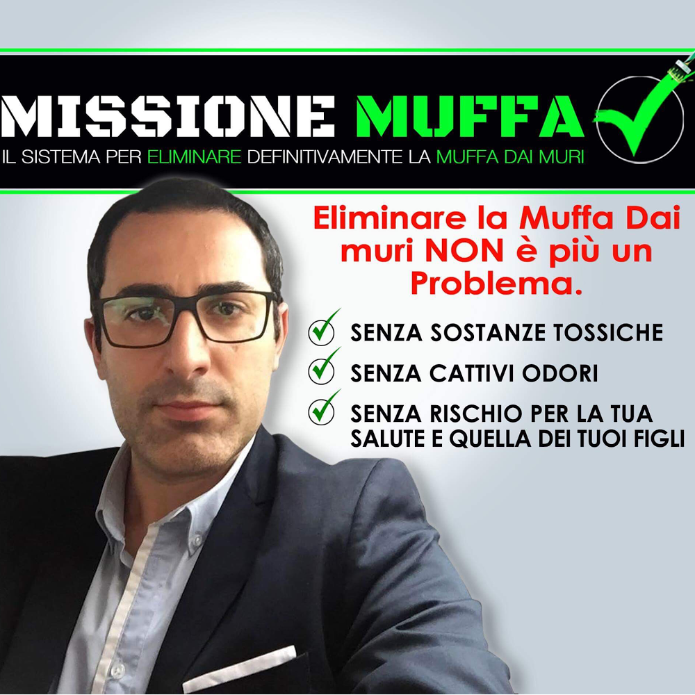 Mister Muffa-Specialista in Soluzioni antimuffa — Foto 13